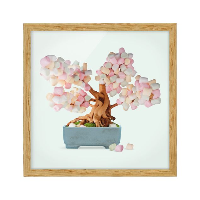 Framed poster - Bonsai With Marshmallows