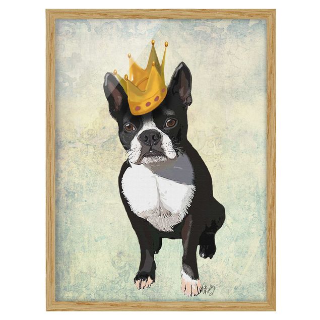 Framed poster - Animal Portrait - Terrier King