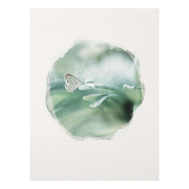 Glass print - WaterColours - Butterfly And Dew Drops In Pastel Green
