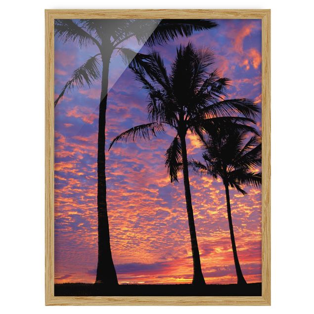 Framed poster - Palms