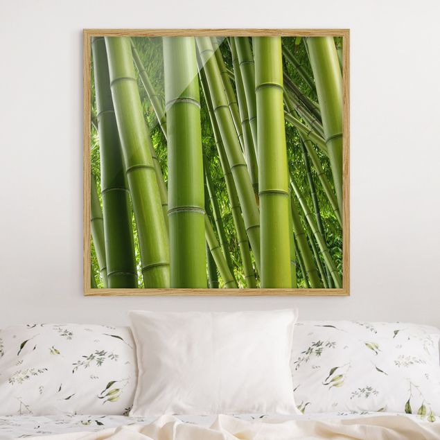 Framed poster - Bamboo Trees