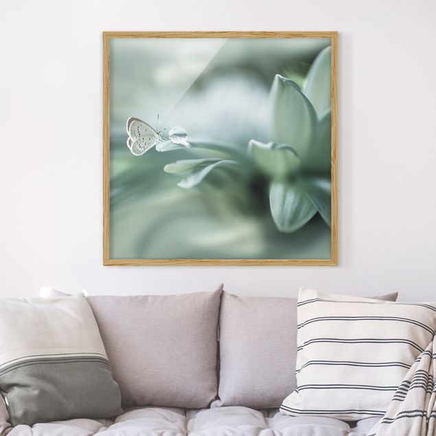 Framed poster - Butterfly And Dew Drops In Pastel Green