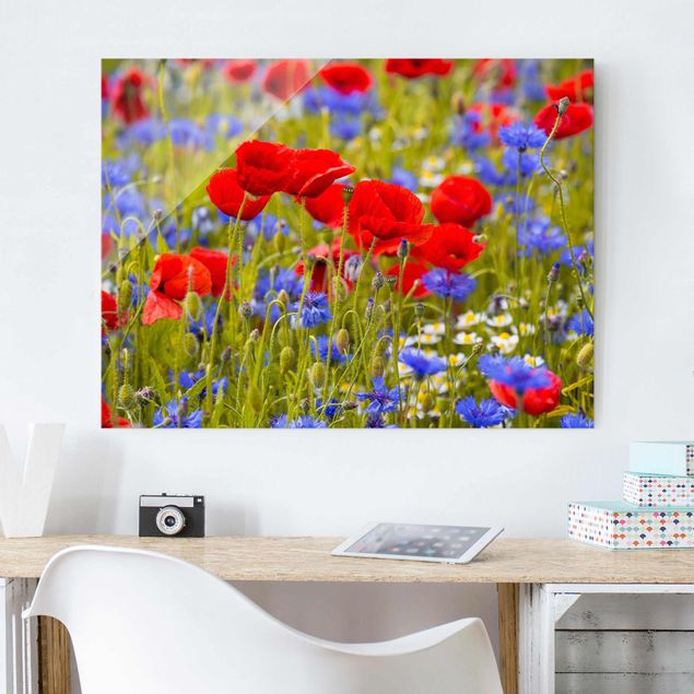 Glas Magnettafel Summer Meadow With Poppies And Cornflowers