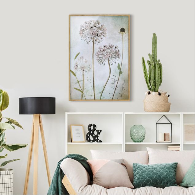 Framed poster - Allium flowers in pastel