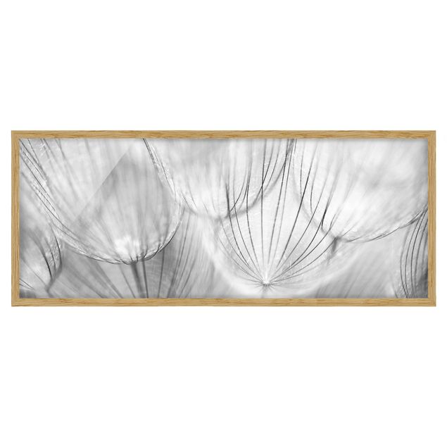 Framed poster - Dandelions Macro Shot In Black And White