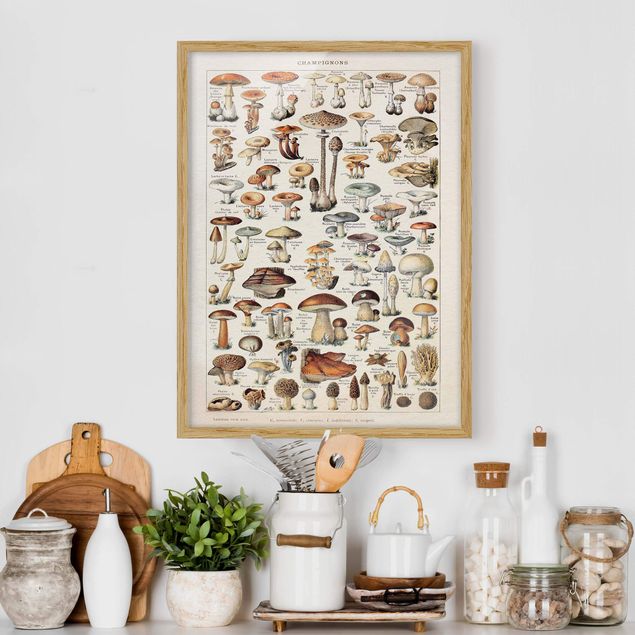 Framed poster - Vintage Board Mushrooms