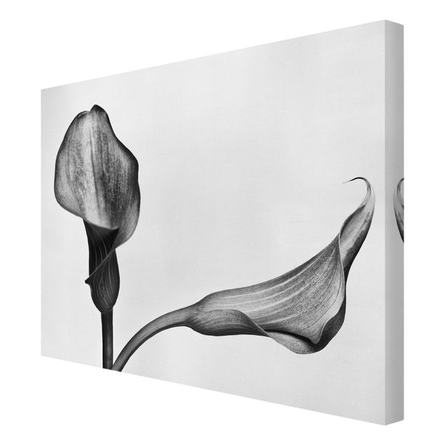 Print on canvas - Calla Close-Up Black And White