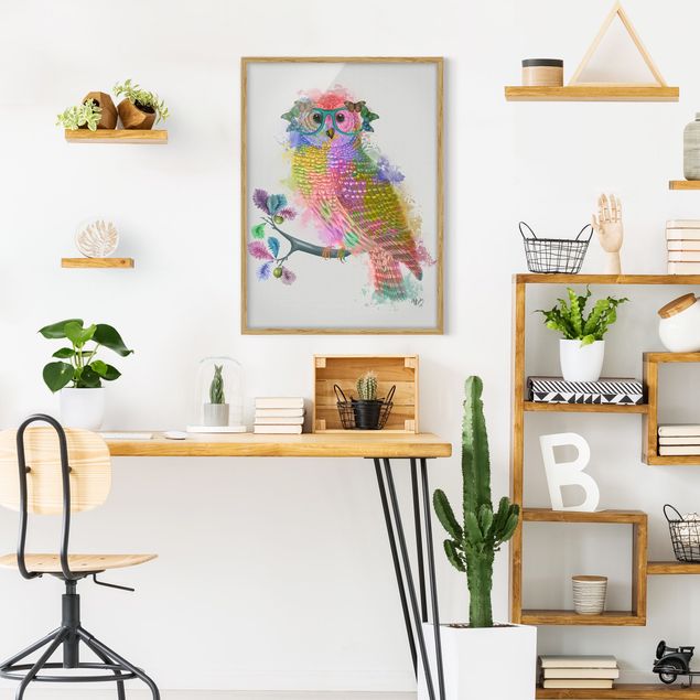 Framed poster - Rainbow Splash Owl