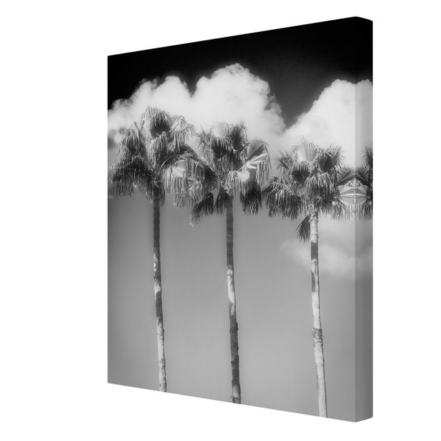 Print on canvas - Palm Trees Against The Sky Black And White