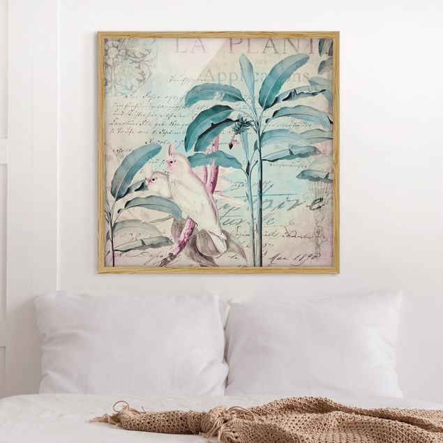 Framed poster - Colonial Style Collage - Cockatoos And Palm Trees
