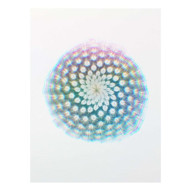 Glass print - WaterColours - Cactus Flower