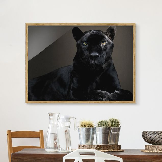 Framed poster - Black Puma