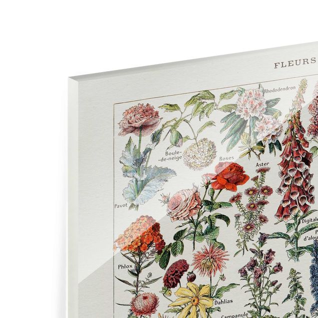 Glass print - Vintage Board Flowers V