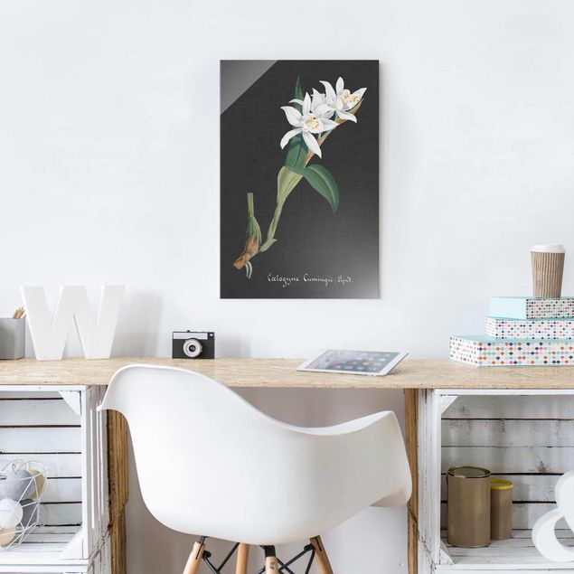 Glass print - White Orchid On Linen II