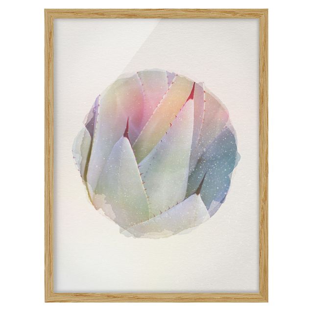 Framed poster - WaterColours - Agave