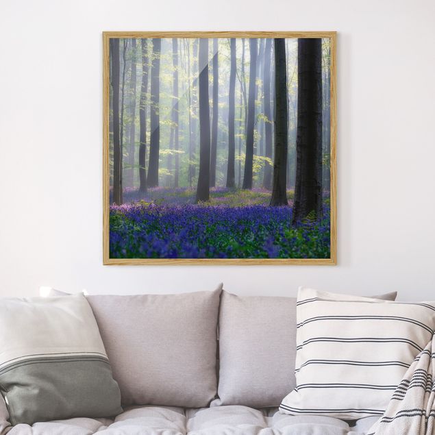 Framed poster - Spring Day In The Forest
