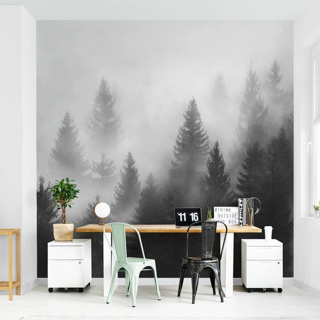 Wallpapers Coniferous Forest In The Fog Black And White