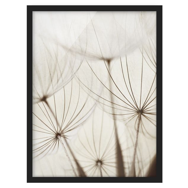 Framed poster - Gentle Grasses