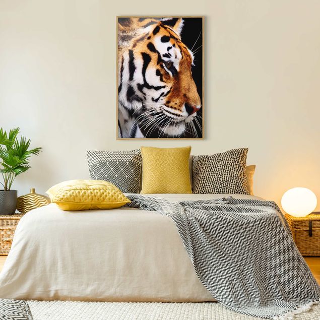 Framed poster - Tiger Beauty