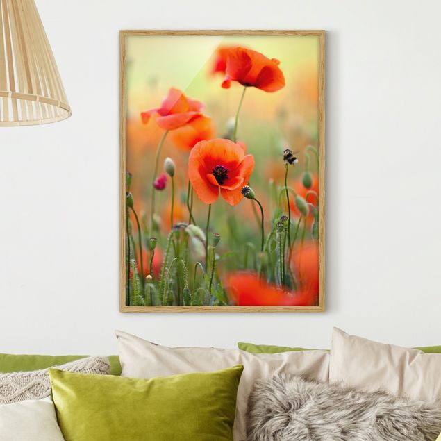 Framed poster - Red Summer Poppy