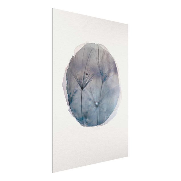 Glass print - Water Colours - Blue Feathers In The Rain
