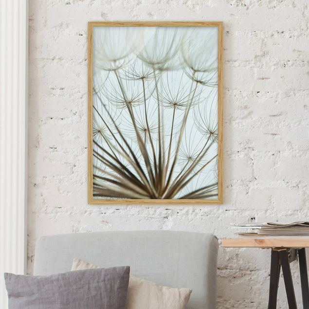 Framed poster - Beautiful dandelion macro shot