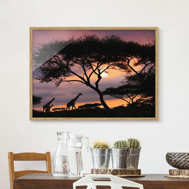 Framed poster - African Safari
