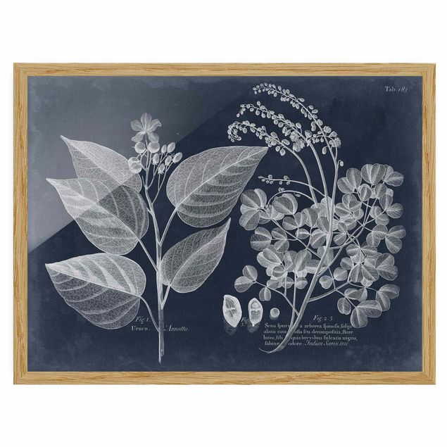 Framed poster - Foliage Dark Blue - Annotto