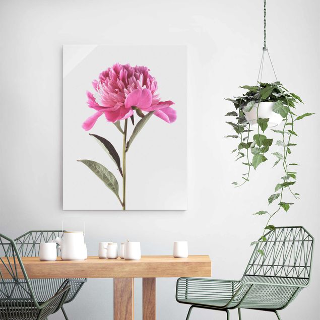 Glass print - Blooming Peony Pink On White