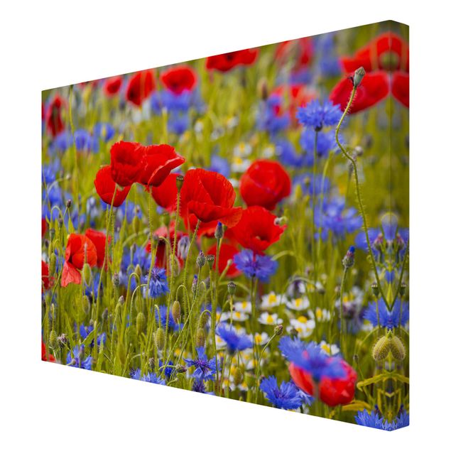 Print on canvas - Summer Meadow With Poppies And Cornflowers