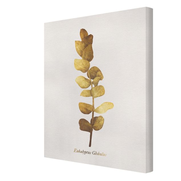 Canvas print - Gold - Eucalyptus