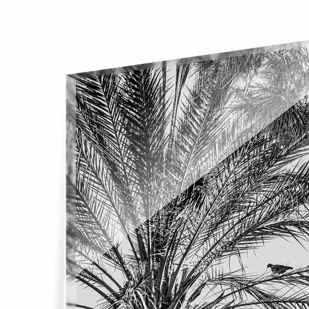 Glass print - Palm Trees At Sunset Black And White