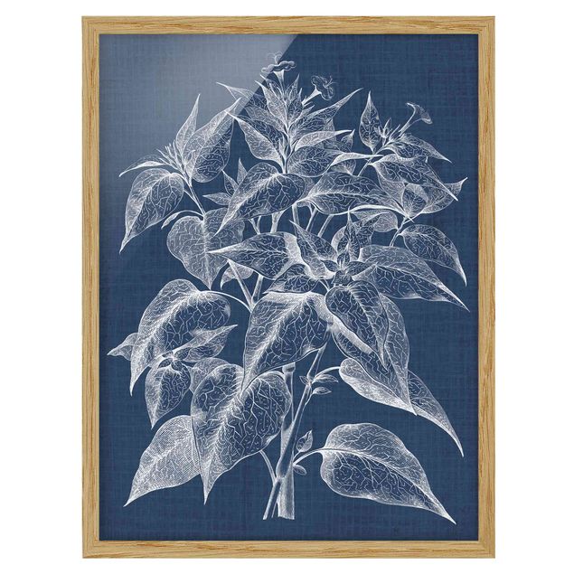 Framed poster - Denim Plant Study III