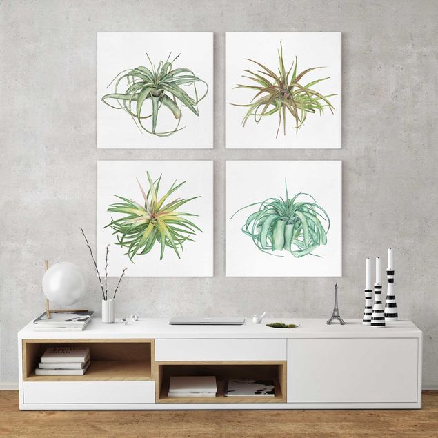 Print on canvas - Air Plant Watercolour Set I