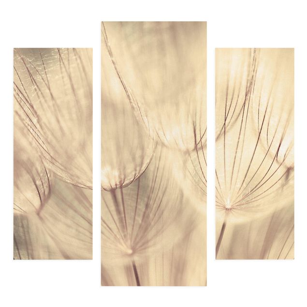 Print on canvas 3 parts - Dandelions Close-Up In Cozy Sepia Tones