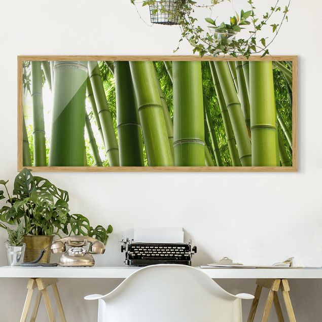 Framed poster - Bamboo Trees