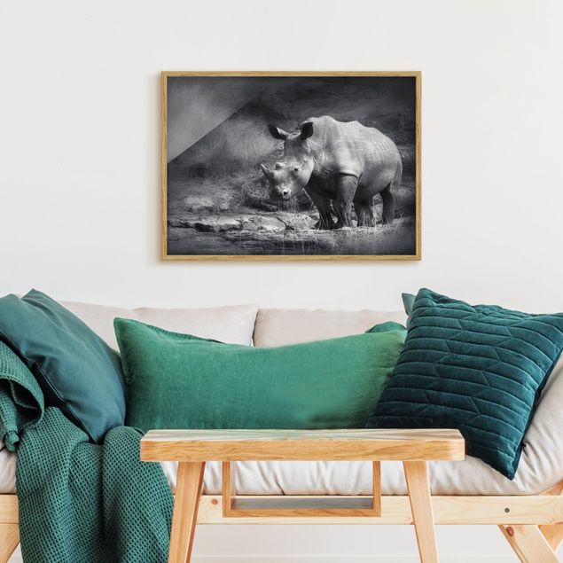 Framed poster - Lonesome Rhinoceros