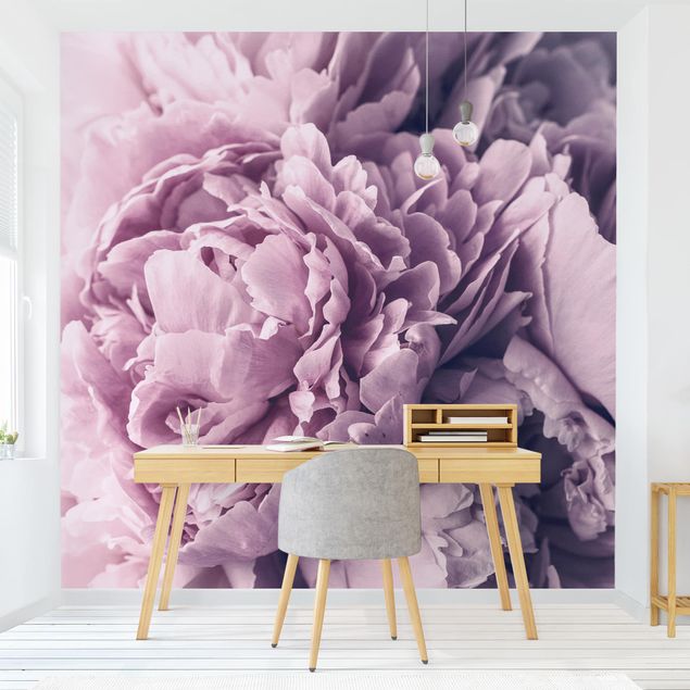 Wallpapers Purple Peony Blossoms