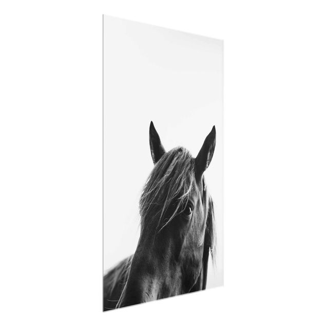 Glass print - Curious Horse