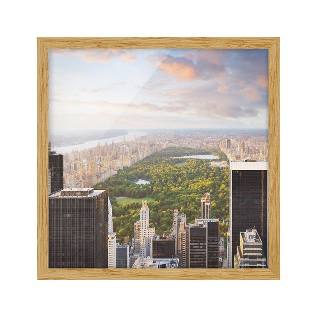 Framed poster - Overlooking Central Park