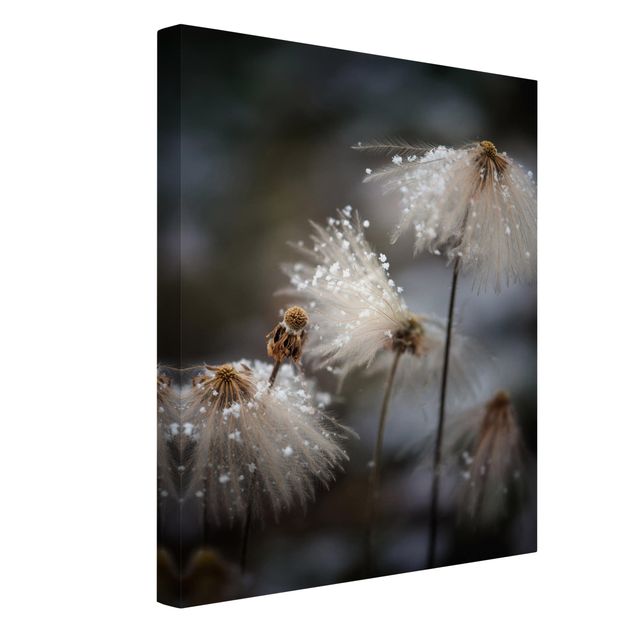 Print on canvas - Dandelions With Snowflakes