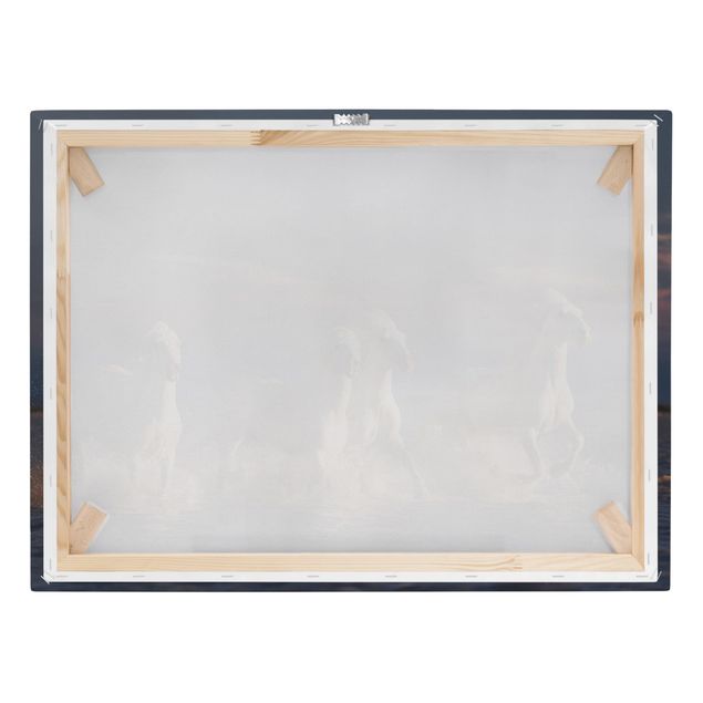 Print on canvas - Wild Horses In Kamargue
