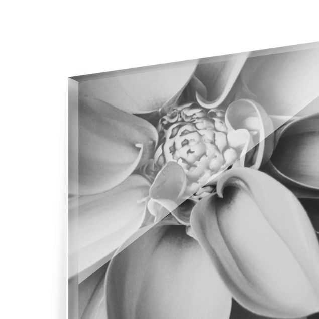 Glass print - In The Heart Of A Dahlia Black And White