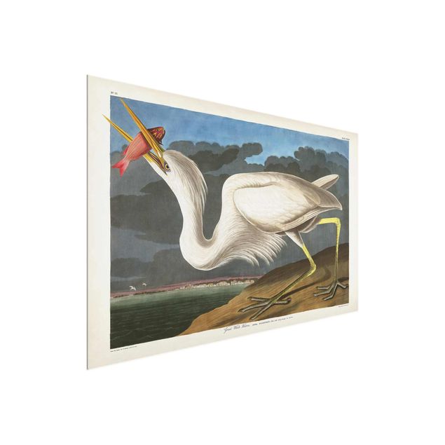 Glass print - Vintage Board Great White Egret