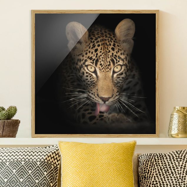 Framed poster - Resting Leopard