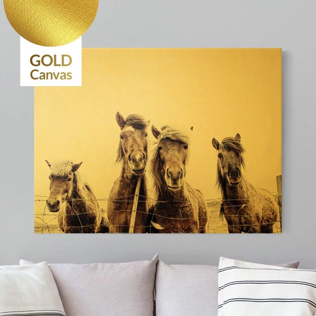 Canvas print gold - Icelandic Horse