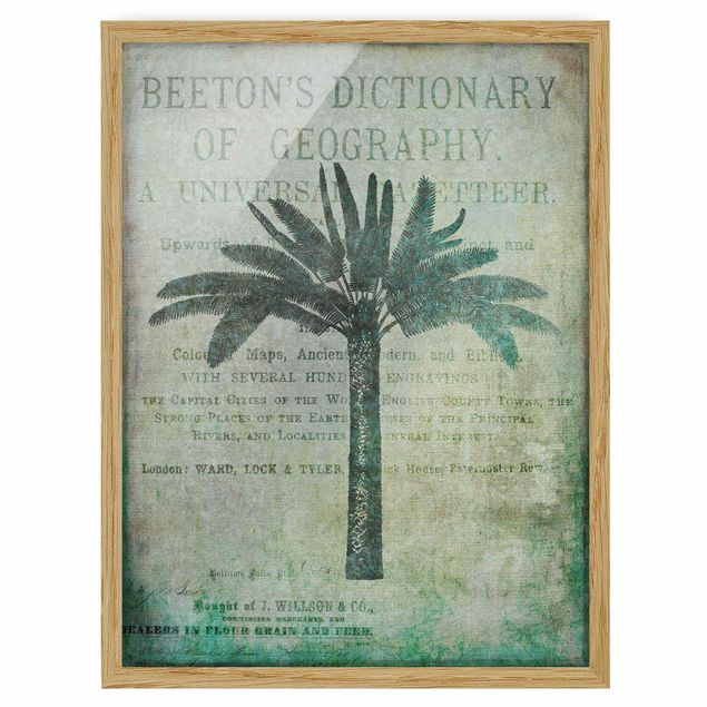 Framed poster - Vintage Collage - Antique Palme