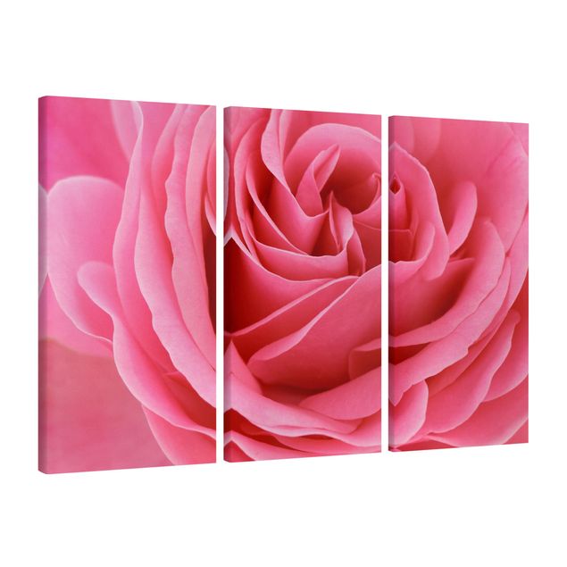 Print on canvas 3 parts - Lustful Pink Rose