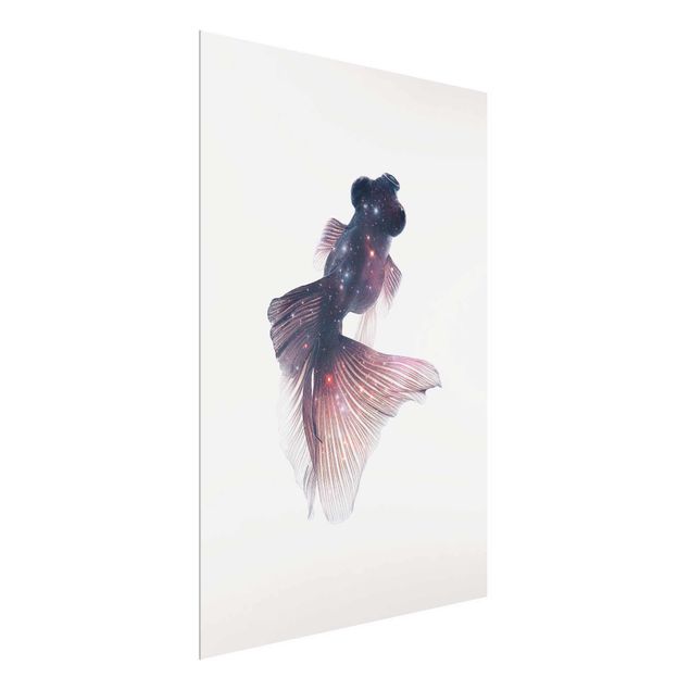 Glass print - Fish With Galaxy