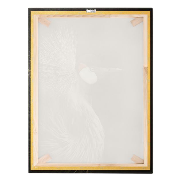 Canvas print gold - Black Crowned Crane